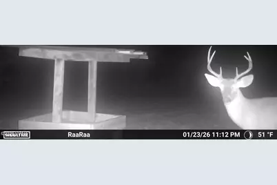 1112 Max Herrin Road, Chattahoochee, FL 32324 - Photo 66