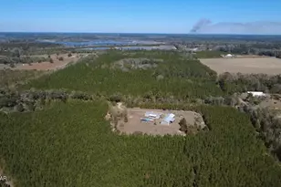 1112 Max Herrin Rd, Chattahoochee, FL 32324 - Photo 60