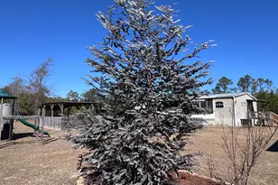 1112 Max Herrin Rd, Chattahoochee, FL 32324 - Photo 54