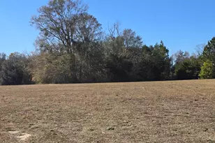 4419 Russ Rd, Cottondale, FL 32431 - Photo 26