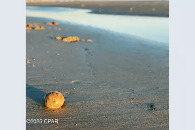 889 Backwater Road, Port Saint Joe, FL 32456 - Photo 52