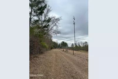 7930 Broken Oak Drive, Sneads, FL 32460 - Photo 4