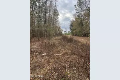 7930 Broken Oak Drive, Sneads, FL 32460 - Photo 8