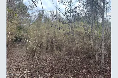 7930 Broken Oak Drive, Sneads, FL 32460 - Photo 14