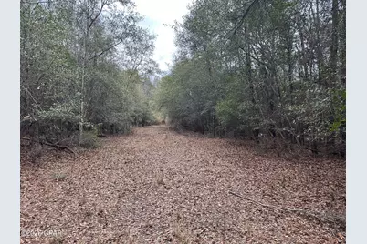 7930 Broken Oak Drive, Sneads, FL 32460 - Photo 10