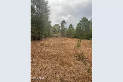 7930 Broken Oak Drive, Sneads, FL 32460 - Photo 24