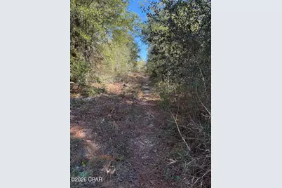 Lot 21 Grassy Pond Road, Chipley, FL 32428 - Photo 14