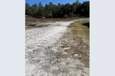 Lot 21 Grassy Pond Road, Chipley, FL 32428 - Photo 12