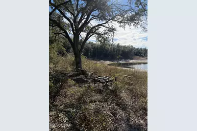 Lot 21 Grassy Pond Road, Chipley, FL 32428 - Photo 8
