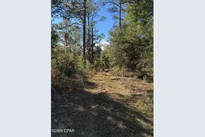 Lot 21 Grassy Pond Road, Chipley, FL 32428 - Photo 1
