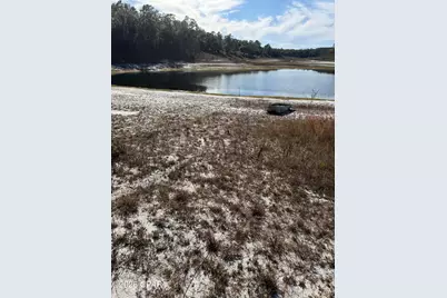 Lot 21 Grassy Pond Road, Chipley, FL 32428 - Photo 10