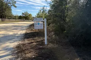 Lot 21 Grassy Pond Rd, Chipley, FL 32428 - Photo 1