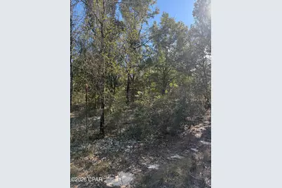 Lot 21 Grassy Pond Road, Chipley, FL 32428 - Photo 2