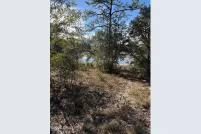 Lot 21 Grassy Pond Road, Chipley, FL 32428 - Photo 4