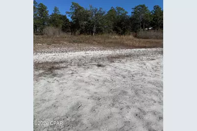 Lot 21 Grassy Pond Road, Chipley, FL 32428 - Photo 14