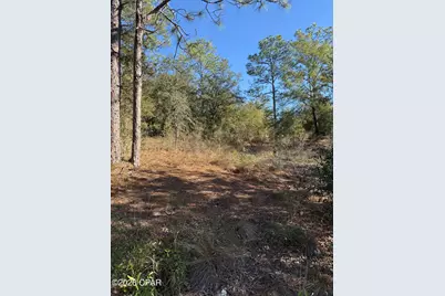 Lot 21 Grassy Pond Road, Chipley, FL 32428 - Photo 8