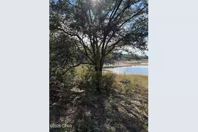 Lot 21 Grassy Pond Road, Chipley, FL 32428 - Photo 6