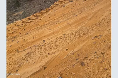 000 Pembroke, Alford, FL 32420 - Photo 8