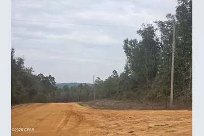 000 Pembroke, Alford, FL 32420 - Photo 6