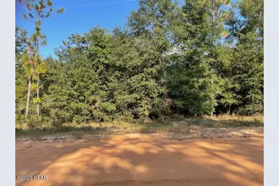 0 Koskiusko Drive, Alford, FL 32420 - Photo 6