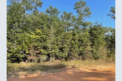 0 Koskiusko Drive, Alford, FL 32420 - Photo 1
