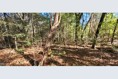 Lot 2 Oscar Road, Greenwood, FL 32443 - Photo 18