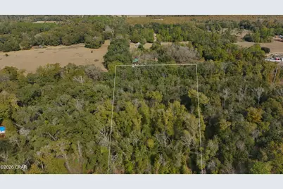 Lot 1 Oscar Road, Greenwood, FL 32443 - Photo 10