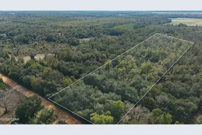 Lot 1 Oscar Road, Greenwood, FL 32443 - Photo 6