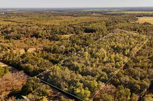 Lot 1 Oscar Rd, Greenwood, FL 32443 - Photo 1