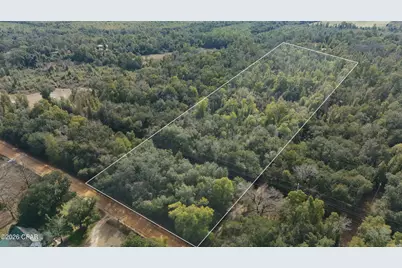 Lot 1 Oscar Road, Greenwood, FL 32443 - Photo 8