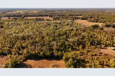 Lot 1 Oscar Road, Greenwood, FL 32443 - Photo 2