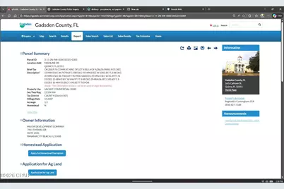 0 Mainline Drive, Quincy, FL 32351 - Photo 2