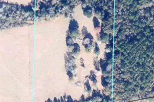 0 Hwy 2A, Westville, FL 32464 - Photo 1