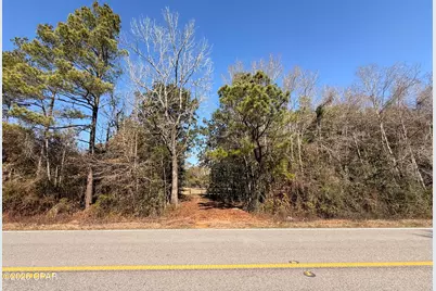 0 Hwy 2A, Westville, FL 32464 - Photo 4
