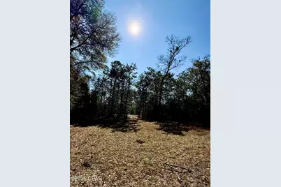 0 Hwy 2A, Westville, FL 32464 - Photo 32