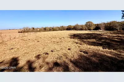 0 Hwy 2A, Westville, FL 32464 - Photo 8