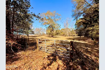0 Hwy 2A, Westville, FL 32464 - Photo 2