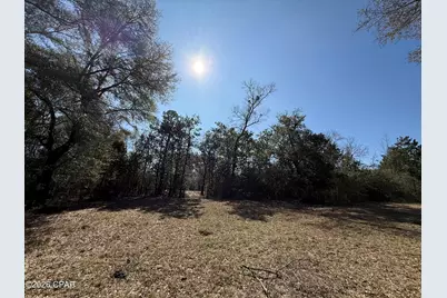 0 Hwy 2A, Westville, FL 32464 - Photo 30