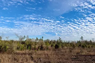 25 Acres Davenport Rd, Marianna, FL 32448 - Photo 1