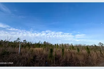 25 Acres Davenport Road, Marianna, FL 32448 - Photo 4