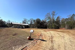 4101 Park Place Rd, Marianna, FL 32446 - Photo 1