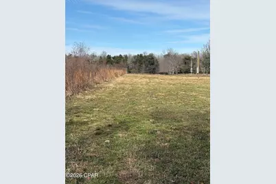 3145 Leamon Smith Road, Bonifay, FL 32425 - Photo 1