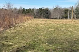 3145 Leamon Smith Rd, Bonifay, FL 32425 - Photo 1