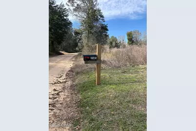 3145 Leamon Smith Road, Bonifay, FL 32425 - Photo 2