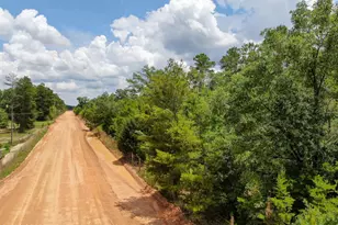 0000 77 Hwy, Chipley, FL 32428 - Photo 48