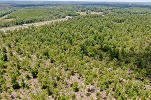 0000 77 Hwy, Chipley, FL 32428 - Photo 1