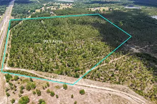 0000 77 Hwy, Chipley, FL 32428 - Photo 36