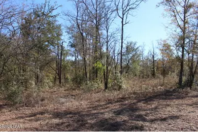 6297 Americus Road, Marianna, FL 32446 - Photo 20