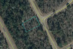 Lot 14 Dunlap Dr, Chipley, FL 32428 - Photo 1