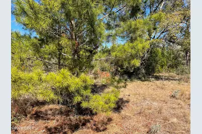 00000 Velvet Drive, Chipley, FL 32428 - Photo 6